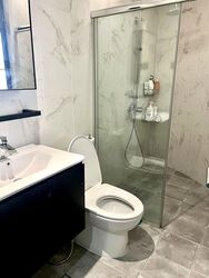 The Balmoral (D10), Condominium #566703221
